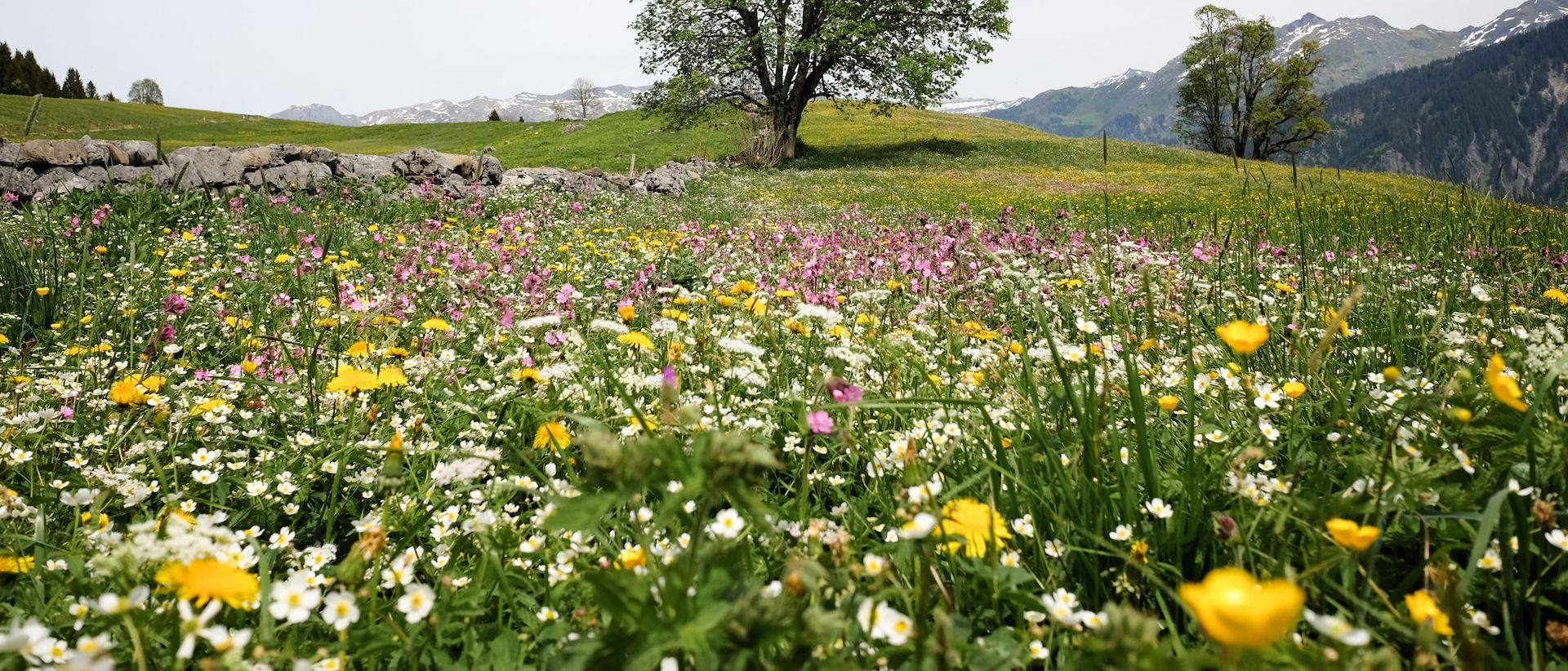 HVAC systems in spring